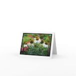 Coneflower Notecard