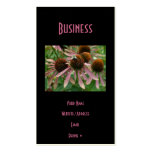 Coneflower Pink Bee Business Card Templates