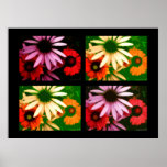 Coneflower Quad posters