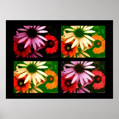 Coneflower Quad Posters by londie