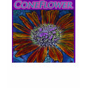 Coneflower t-shirts