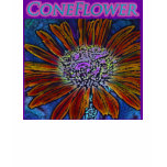 Coneflower t-shirts