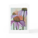 Coneflowers cards