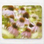Coneflowers In The Morning Sun mousepads