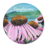 Coneflowers, Magnet