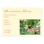 Coneflowers Pink Garden Business Card Template