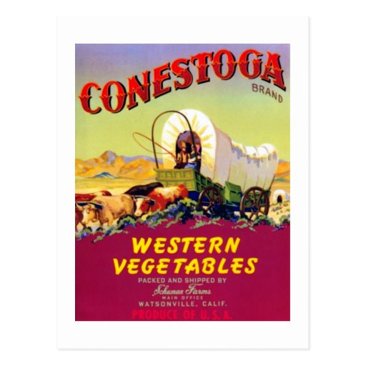 Conestoga Western Vegetables Post Card