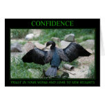Confidence cards