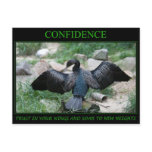 Confidence postcards