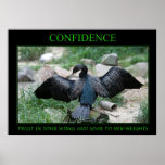 Confidence posters