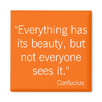 Confucius Refrigerator Magnets