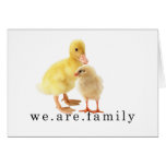 congatulations adoption card
