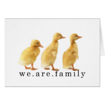 congatulations adoption card