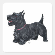 Congenial Scottie Square Stickers