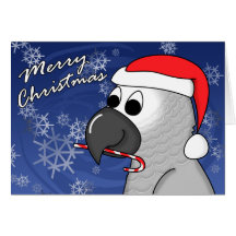 Congo African Grey Christmas Card