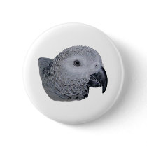 Congo African Grey parrot Pinback Buttons