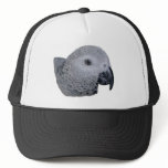Congo African Grey parrot Hats