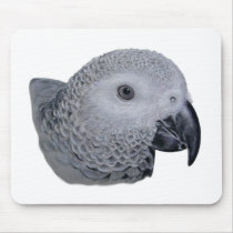 Congo African Grey parrot Mouse Pad