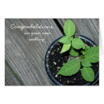 Congradulations! cards