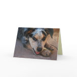 Congratulations for Dog Lovers cards