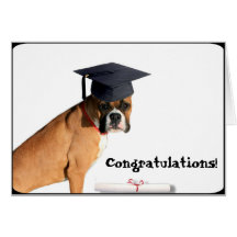 Congratulations graduate  Boxer greeting card
