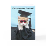 Congratulations Graduate! cards