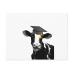 Congratulations Graduation Funny Cow in Cap Post Cards