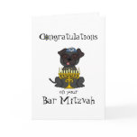 Congratulations on your Bar Mitzvah-Pug Dog cards
