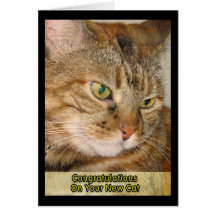 Congratulations on your New Cat Greeting Card
