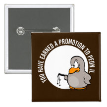 Congratulations on your well earned promotion pin