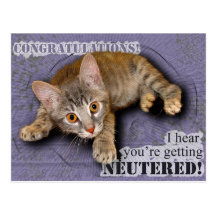 Congratulations! You're being neutered! Post Card