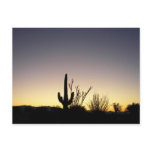 Congress Arizona Desert Sunset Post Card