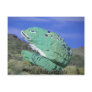 Congress, Arizona Frog Rock Postcard