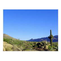 Congress Arizona Post Card