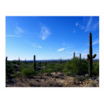 Congress, Arizona Postcard