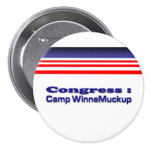 Congress Pin