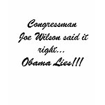 Congressman Joe Wilson said it right..., Obama ... t-shirts