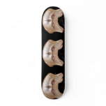 Conjoined Skateboard