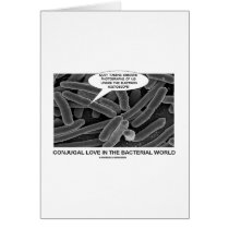 Conjugal Love In The Bacterial World cards