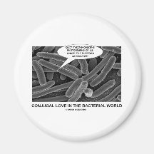 Conjugal Love In The Bacterial World Magnet