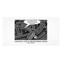Conjugal Love In The Bacterial World Photo Cards
