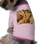 Conker Seed pet clothing