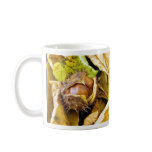 Conker Seed Coffee Mug