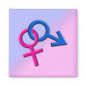 Connected Male and Female Symbols Magnet 001
