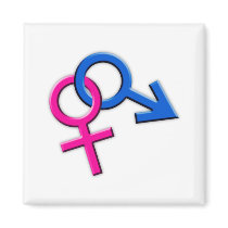 Connected Male and Female Symbols Magnet 002