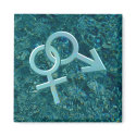 Connected Male and Female Symbols Magnet 025