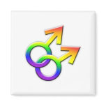 Connected Rainbow Male Symbols Magnet 02
