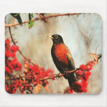 Connecticut State Bird - American Robin Mousepads