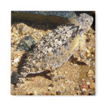  Conquers Morgan magnets