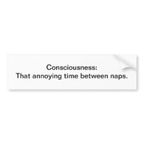 Consciousness - bumper sticker